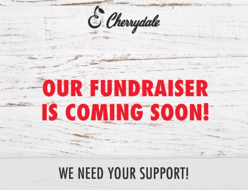 Cherrydale Fundraiser 2022